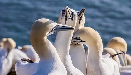 桐乡求一个套医保卡的黄牛浙江的最新政策(2025年桐乡温州医保卡黄牛分享)