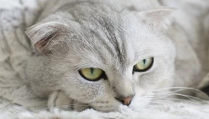 桐乡高价上海医保提取2025的最新政策(2025年桐乡上海医保怎么提取现金分享)