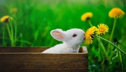 桐乡高价上海医保提取2025的最新政策(2025年桐乡上海医保怎么提取现金分享)